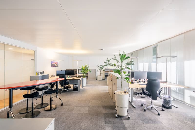 Flexible Büroflächen zum Bestpreis – bis zu 2'800 m² ab sofort verfügbar (6)