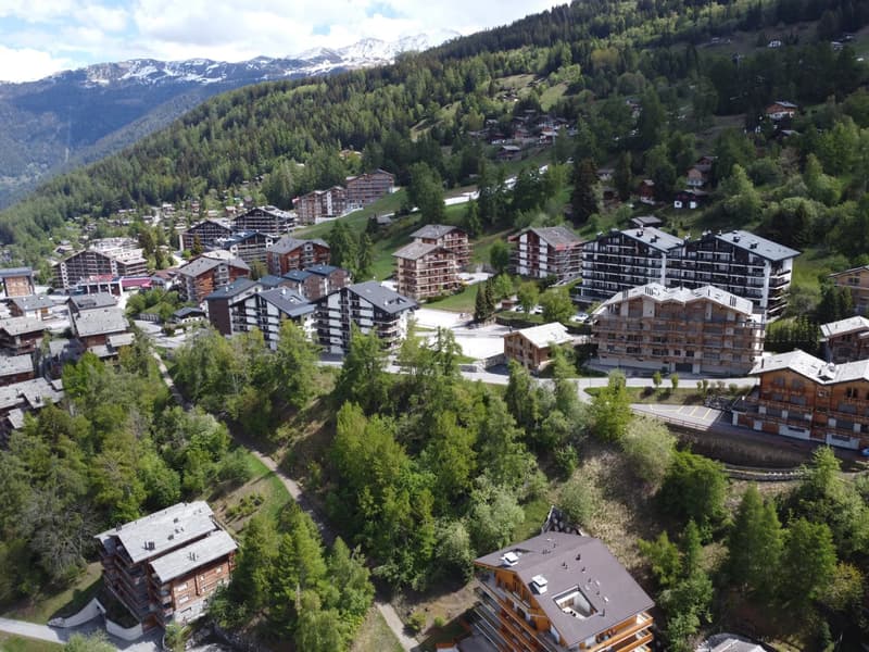 Studio avec balcon et vue dégagée à Haute-Nendaz (10)