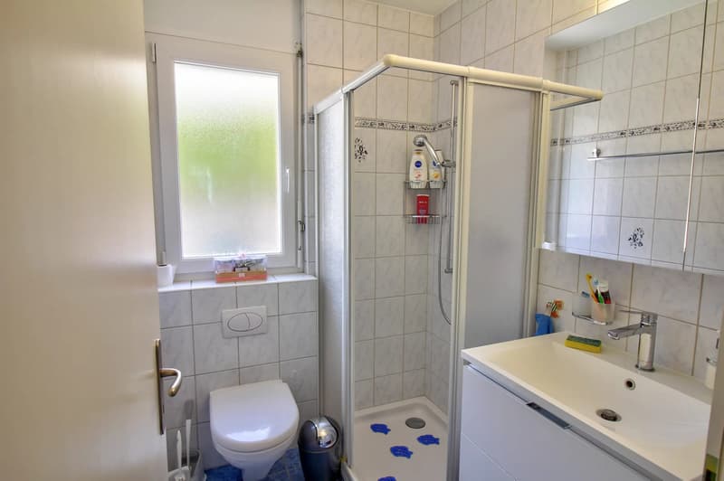 Sierre I Villa d'exception de 6.5 pièces (12)
