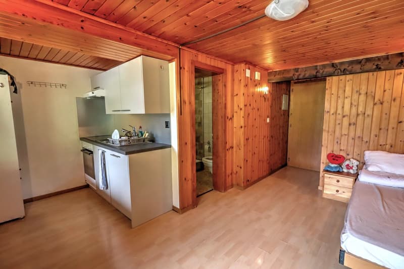 Immeuble mixte à Troistorrents - 12 logements et 1 commerce (5)