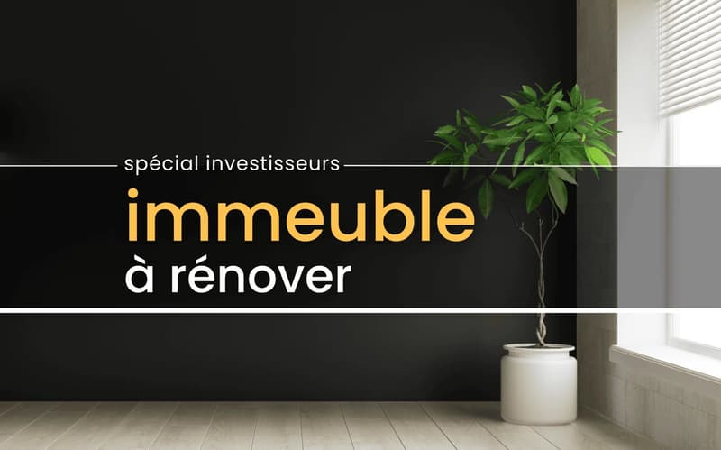 Immeuble à fort potentiel - Projet de rénovation d'envergure (2)