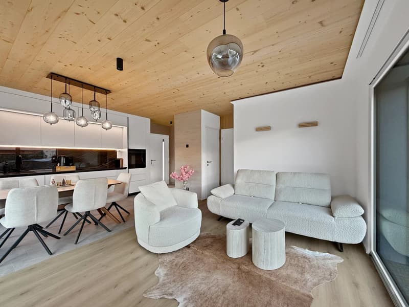 Aproz | Écologie, design et confort moderne pour cette villa de 3,5 pièces (5)