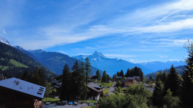 Chalet d'exception à terminer - Vue panoramique (2)