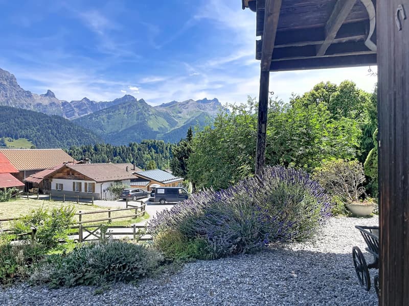Chalet de charme à Arveyes - Bien rare avec potentiel (1)