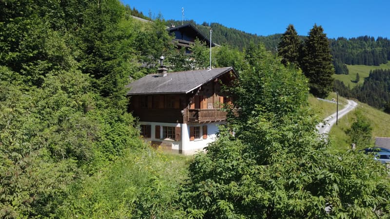 Val-d'Illiez | Charmant chalet avec vue dégagée sur les Dents-du-Midi (13)
