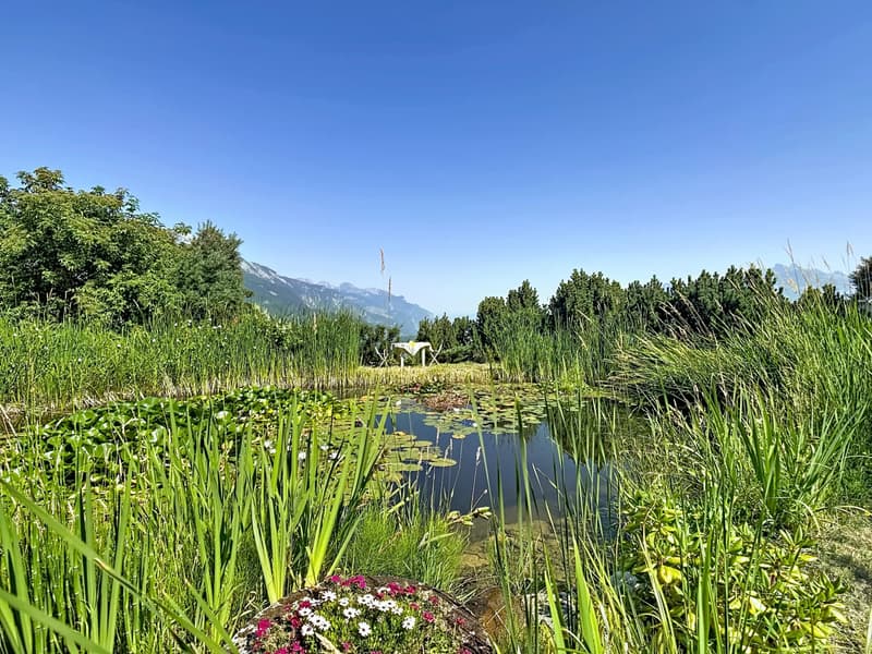 LES GIETTES | Villa individuelle d'exception avec vue imprenable et biotope naturel (8)