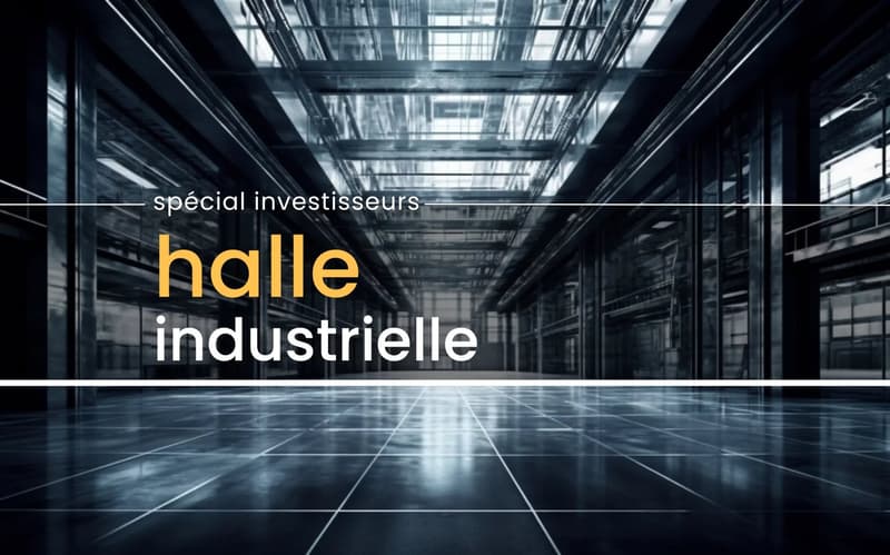 Sierre | Iles Falcon - Grande surface industrielle (1)