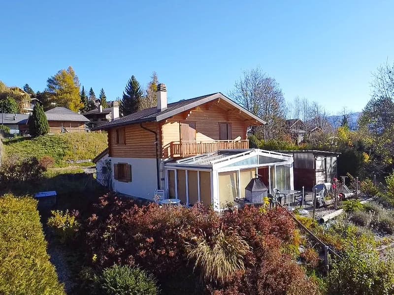 Chalet 4,5 pièces, entre pistes et bains thermaux (1)