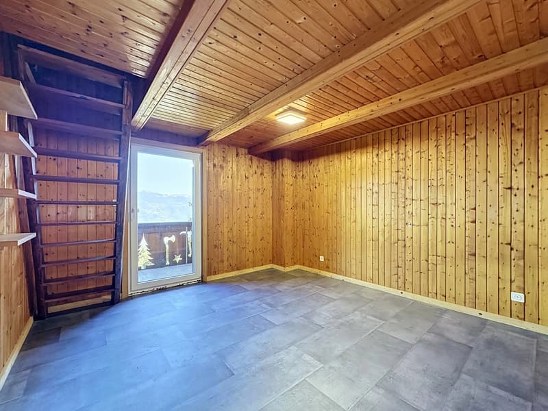 Chalet en rondins sur les hauteurs de Choëx (10)