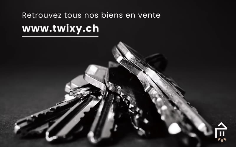 Ardon - Immeuble avec beaucoup de cachet (6)