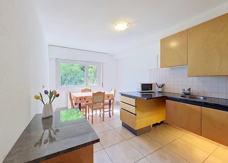 Charmant appartement de 3,5 pièces (4)