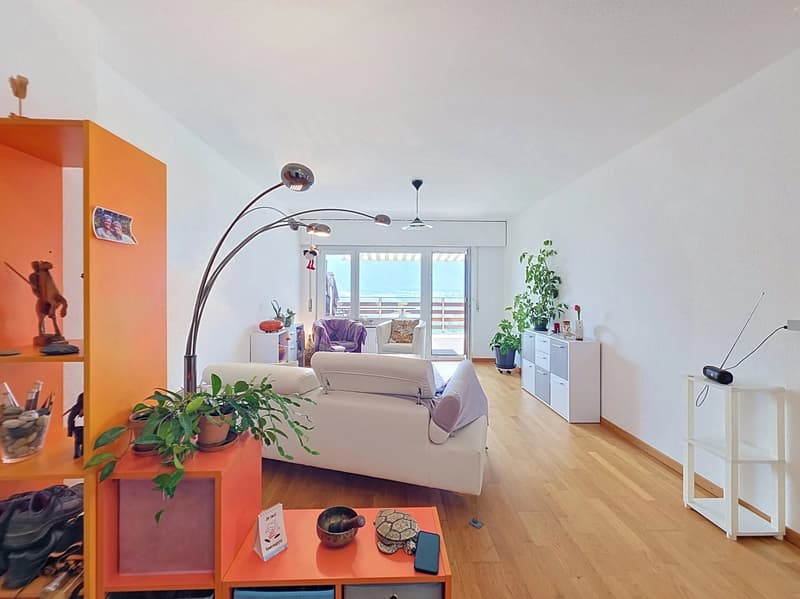 Charmant appartement de 3,5 pièces (2)