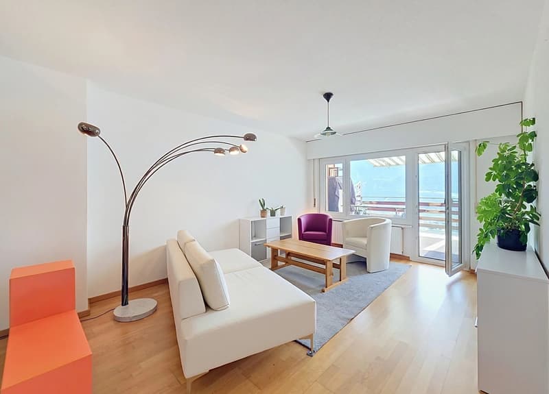 Charmant appartement de 3,5 pièces (1)