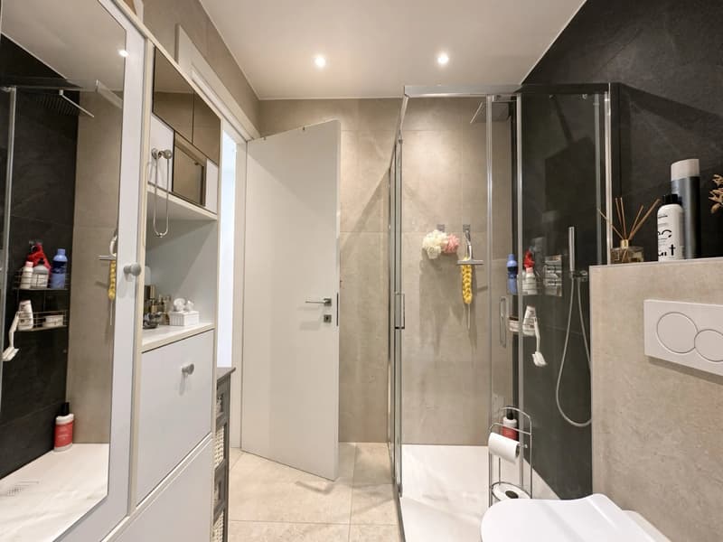 Collombey | Maison contemporaine de deux appartements avec terrasses et accès piscine (6)