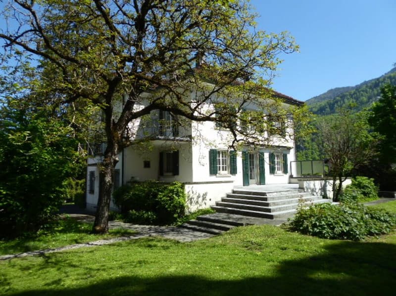 Herrschaftliche 9-Zimmer-Villa mit Parkanlage (4)