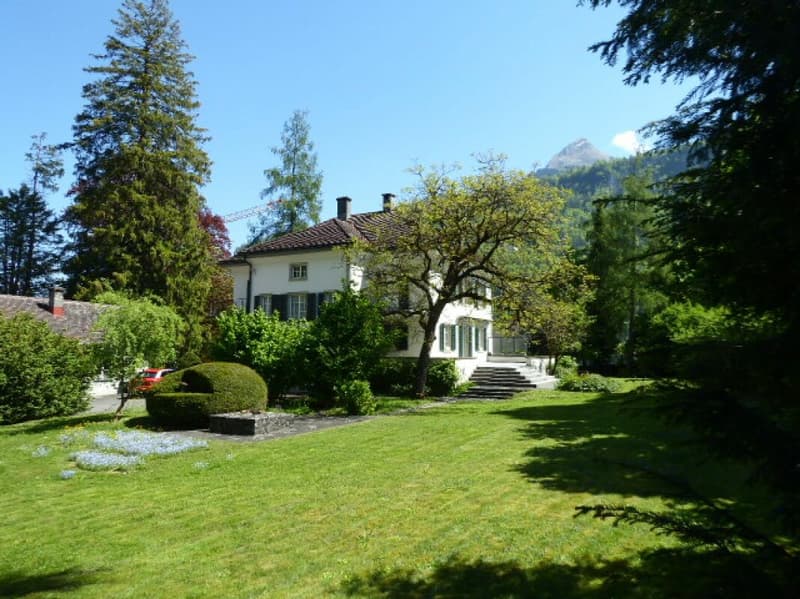 Herrschaftliche 9-Zimmer-Villa mit Parkanlage (2)