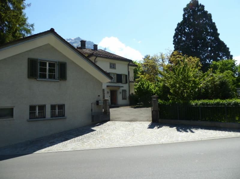 Herrschaftliche 9-Zimmer-Villa mit Parkanlage (5)
