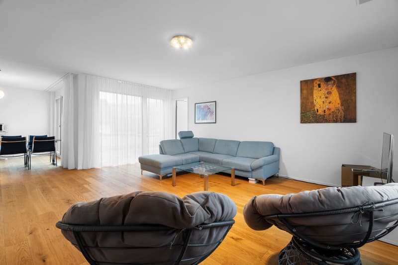 8953 Dietikon