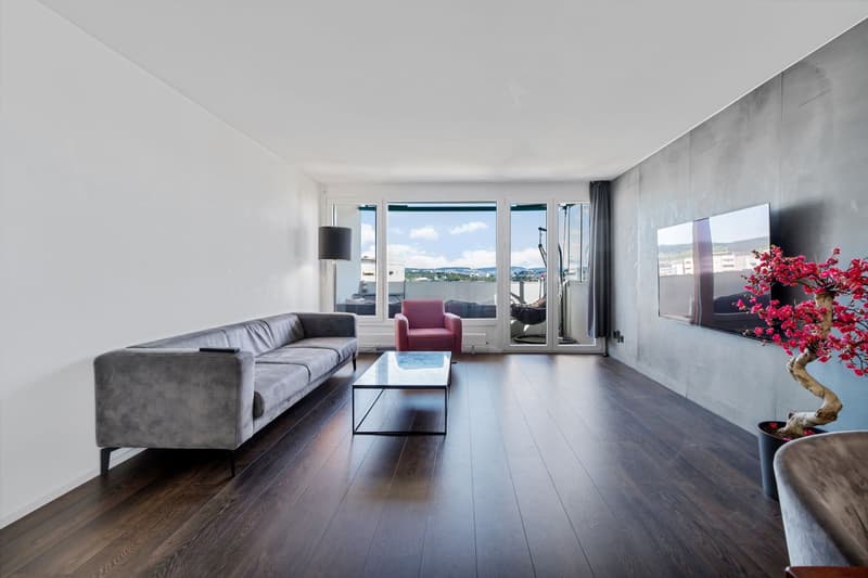 8953 Dietikon