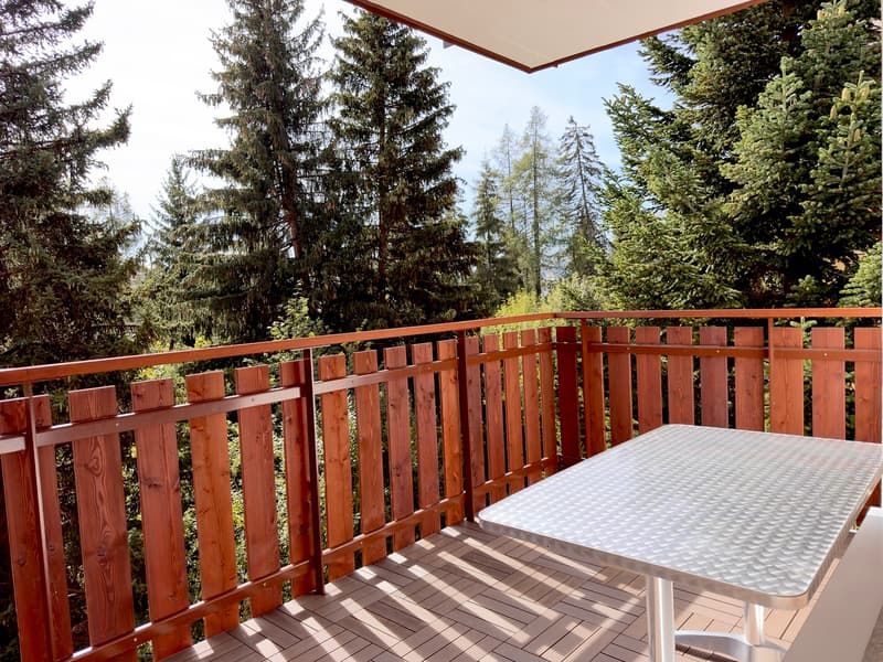 Terrasse / Terrace / Terrazza