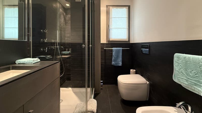 Salle de douche / Shower room / Bagno con doccia