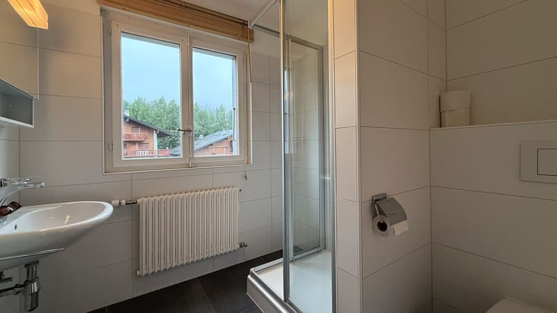 Salle de douche / Shower room / Bagno con doccia
