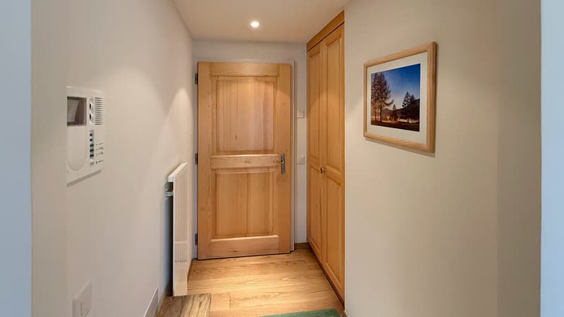 Hall d'entrée / Entrance hall / Ingresso