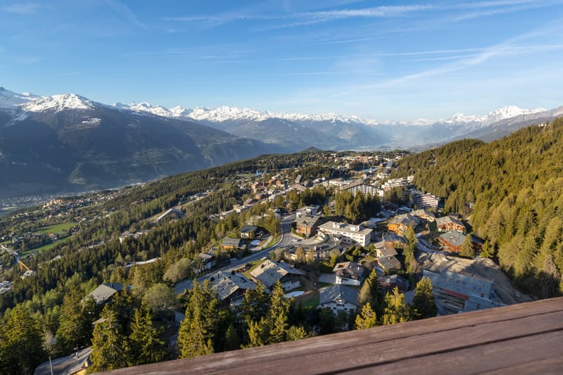 LOC 151 - SUPER CRANS 216-2 (6)