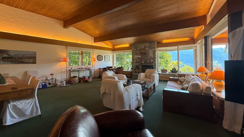 Grand séjour avec cheminée / Large living room with fireplace / Ampio soggiorno con camino