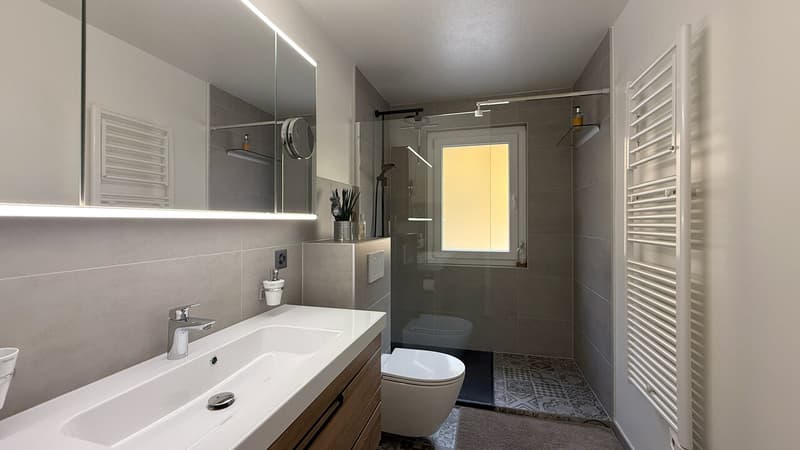 Salle de douche / Shower room / Bagno con doccia
