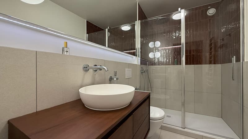 Grande salle de douche avec lavabo et WC / Large shower room with washbasin and WC / Ampio bagno con doccia, lavabo e WC