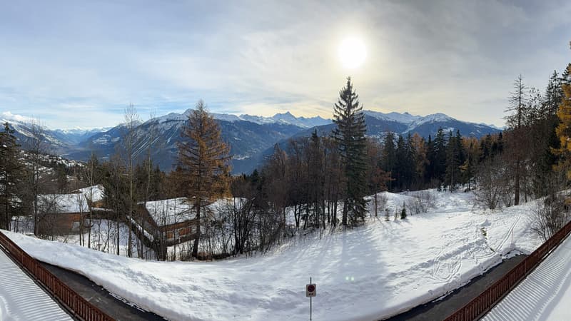 Vue panoramique sur les Alpes / Panoramic view of the Alps / Vista panoramica sulle Alpi