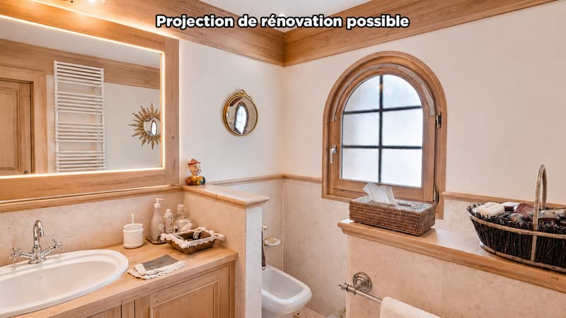 Salle de bain - Projection de rénovation possible / Bathroom - Possible Renovation Plan / Bagno - Possibile progetto di ristrutturazione