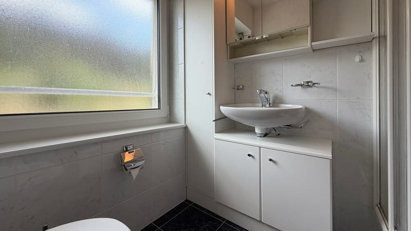 Salle de douche / Shower Room / Bagno con doccia