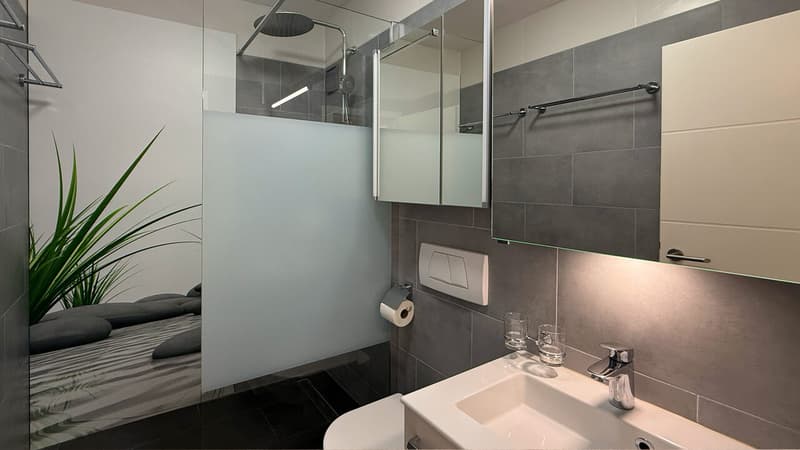 Chambre 3 - Salle de douche / Bedroom 3 - Shower room / Camera da letto 3 - Bagno con doccia