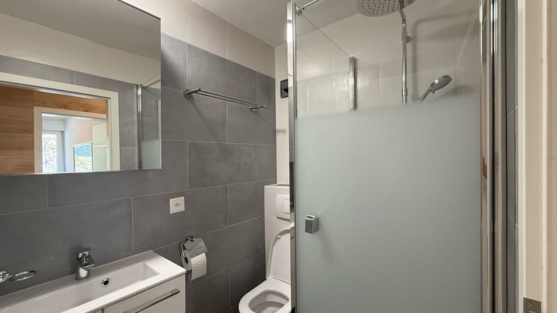 Chambre 1 - Salle de douche / Bedroom 1 - Shower room / Camera da letto 1 - Bagno con doccia
