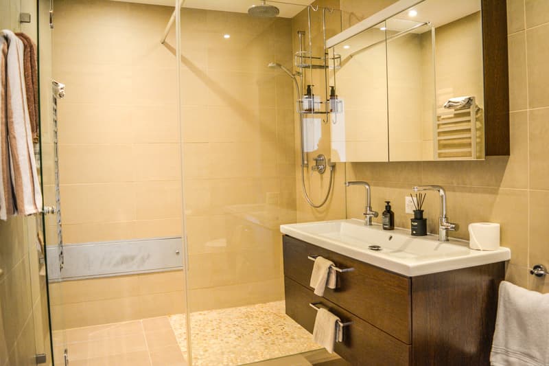 Salle de douche / Shower room / Bagno con doccia