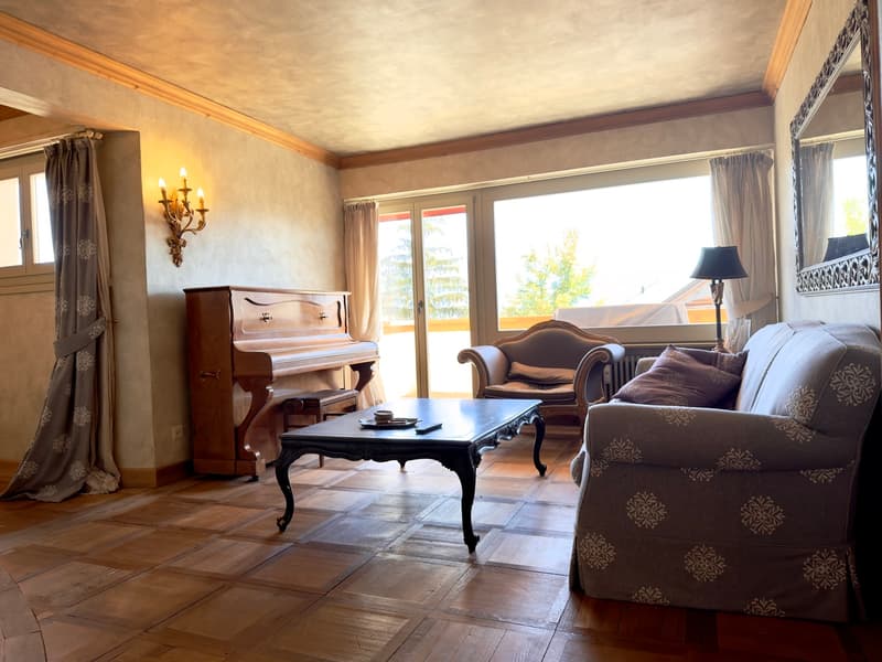 séjour / living room / soggiorno