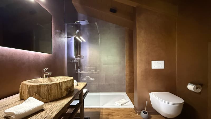 Chambre 2 - Salle de douche / Bedroom 2 - Shower room / Camera da letto 2 - Bagno con doccia