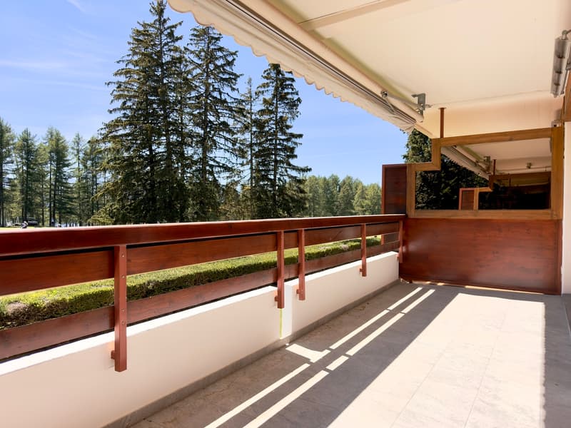 Terrasse SUD / South-Facing Terrace / Terrazza a SUD