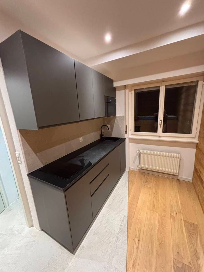 Chambre avec cuisine et salle de douche - Secteur Cry d'Er (3)