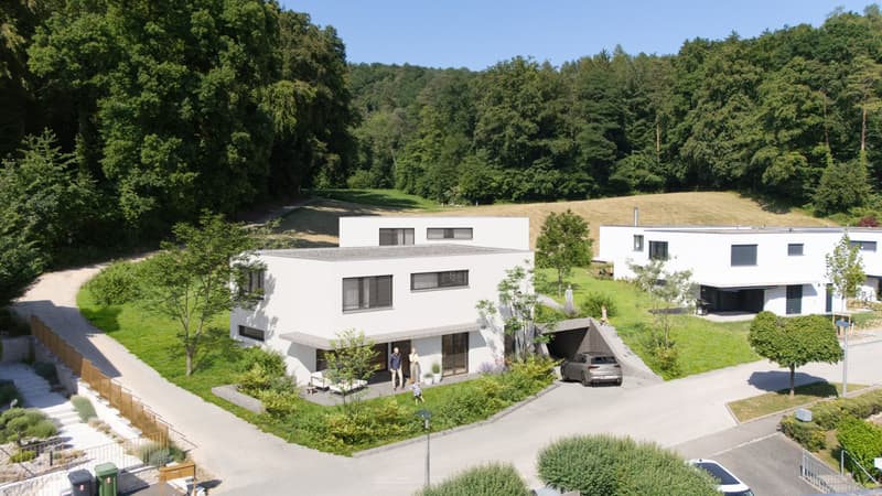Erlenstrasse 22a