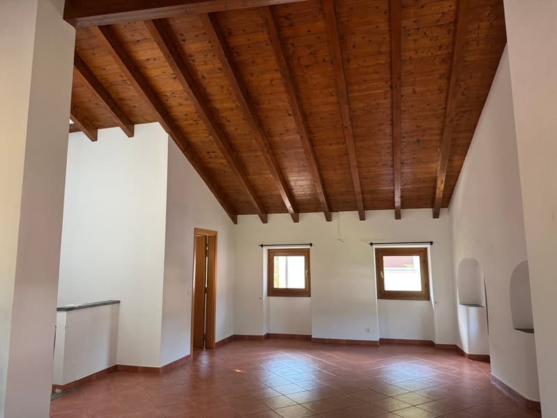 Grande appartamento duplex di 4.5 locali in casa storica a Barbengo (5)