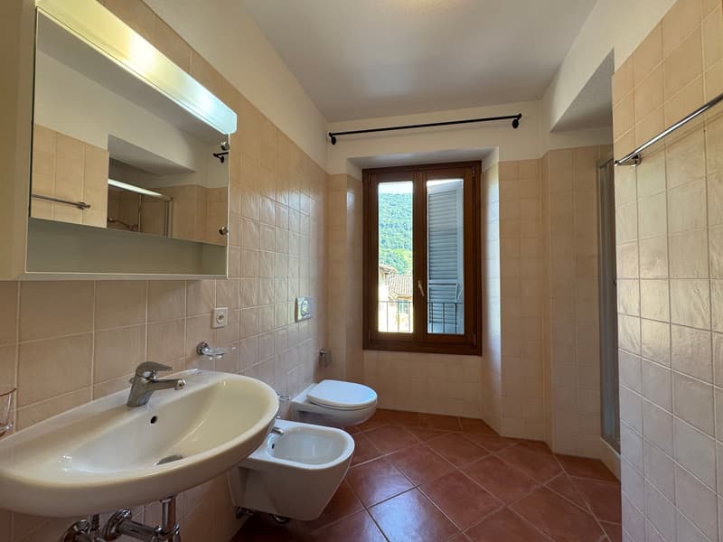 Grande appartamento duplex di 4.5 locali in casa storica a Barbengo (10)