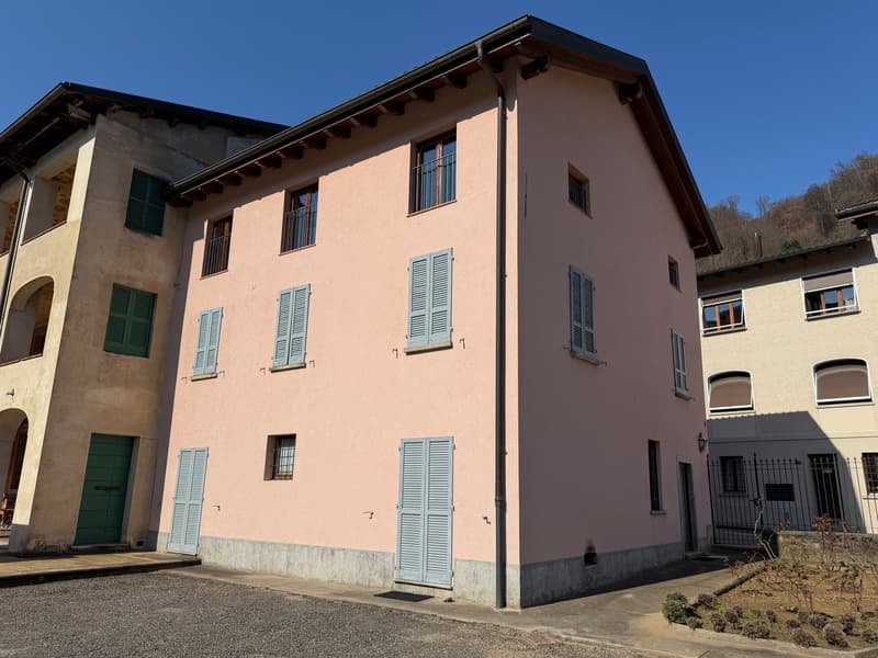 Grande appartamento duplex di 4.5 locali in casa storica a Barbengo (14)