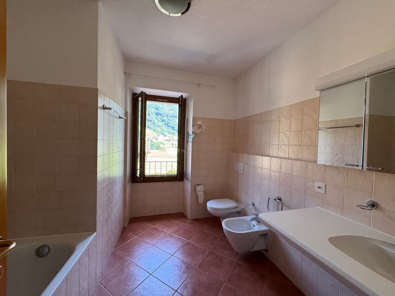 Grande appartamento duplex di 4.5 locali in casa storica a Barbengo (8)