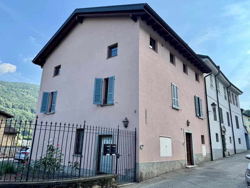 Grande appartamento duplex di 4.5 locali in casa storica a Barbengo (13)