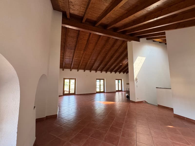 Grande appartamento duplex di 4.5 locali in casa storica a Barbengo (4)