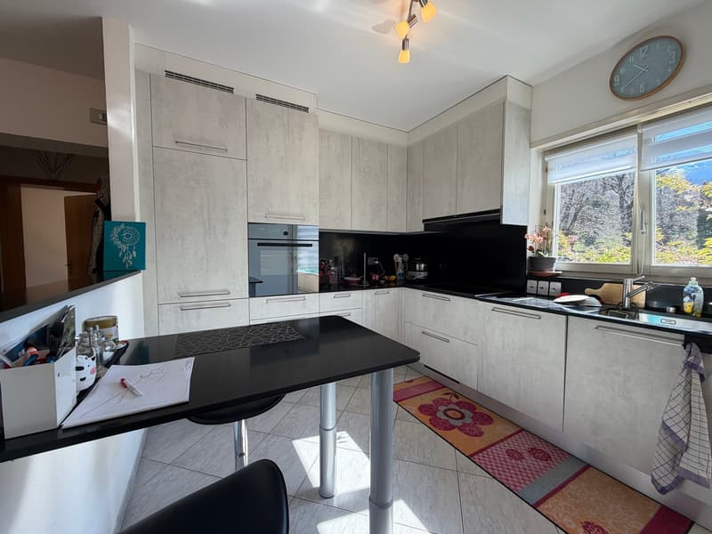 Casa bifamiliare 5.5 e 3.5 indipendente con giardino e box a Bodio (6)