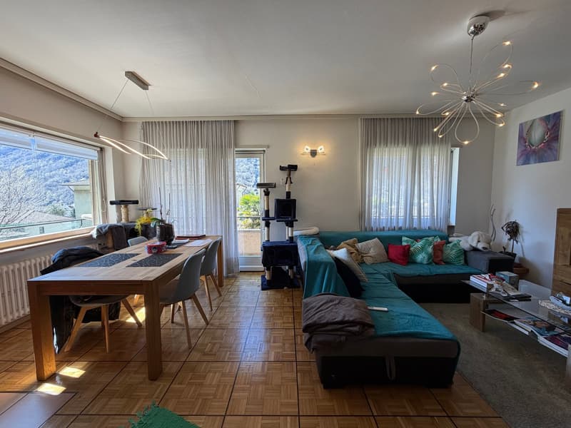 Casa bifamiliare 5.5 e 3.5 indipendente con giardino e box a Bodio (3)